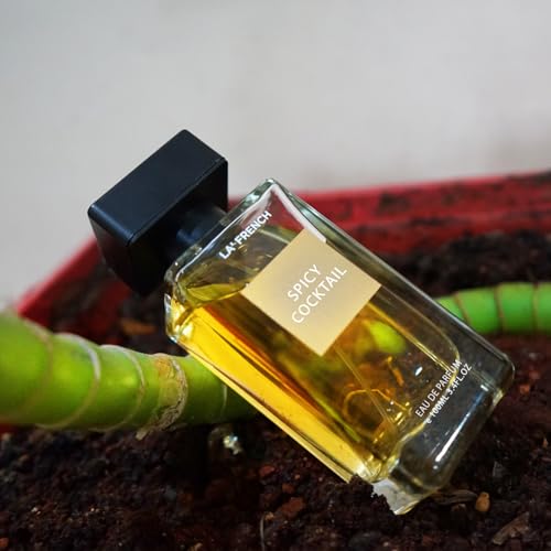 Spicy Cocktail Eau de Parfume| Spicy Oriental Fragrance