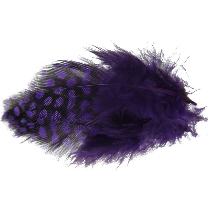 Spirit River UV2 Large Eye Guinea