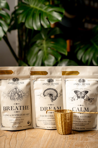 Three Anima Mundi tea bags labeled 'Breathe', 'Dream', and 'Calm' on a wooden surface with a plant in the background.