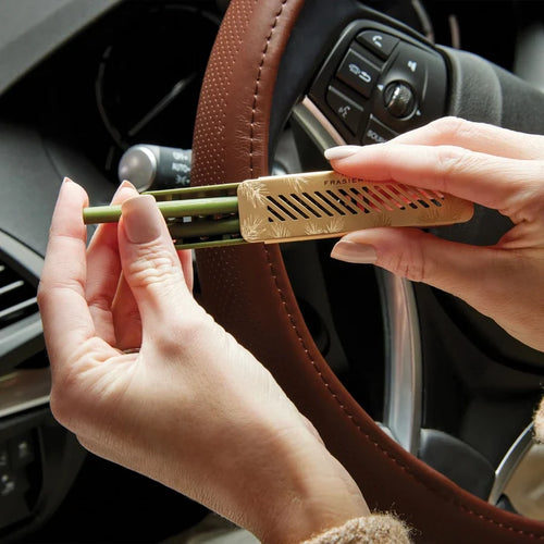 Thymes Frasier Fir Car Diffuser Kit Refill