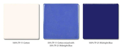 TP-21 Midnight Blue