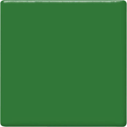 TP-41 Frog Green