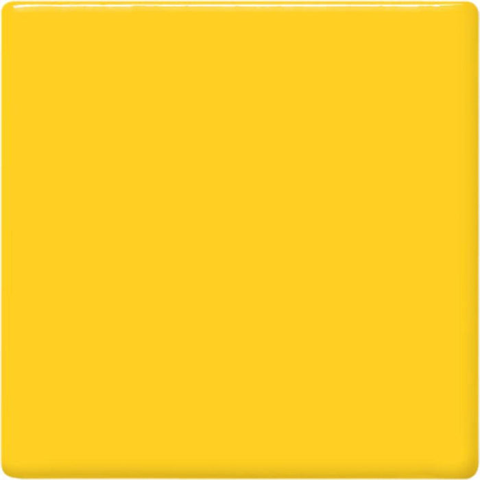 TP-62 Maize