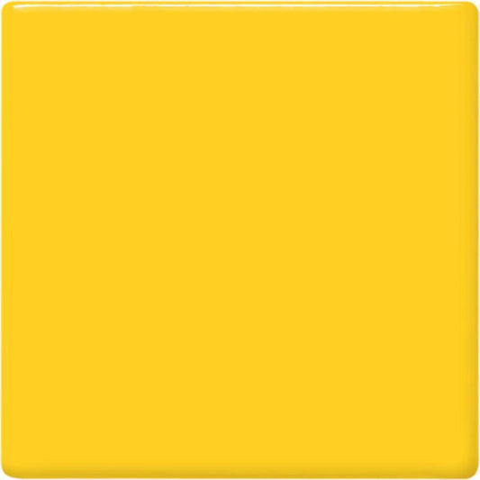 TP-62 Maize