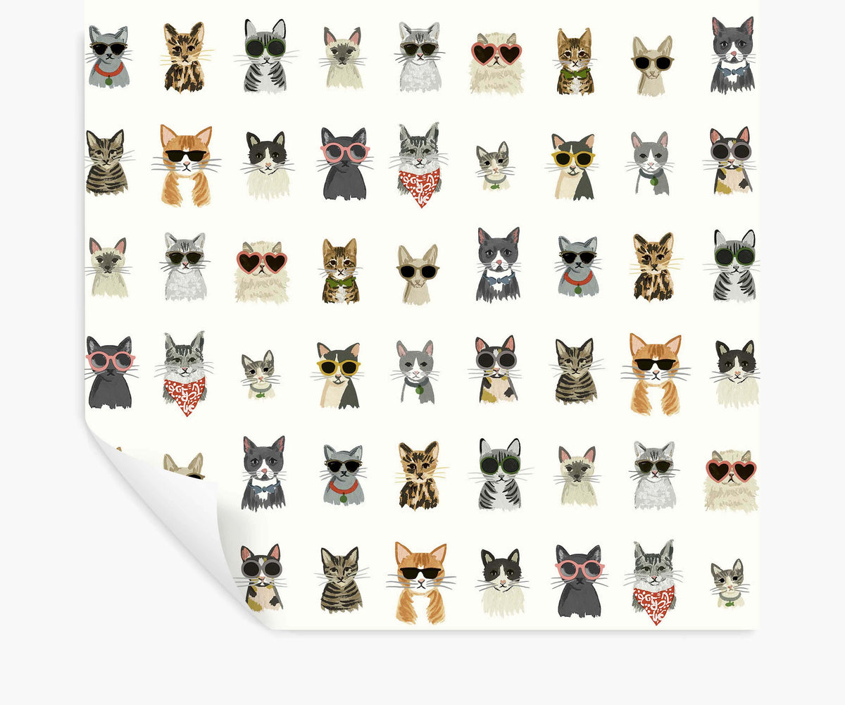 Cool Cats Peel & Stick Wallpaper - White Multi