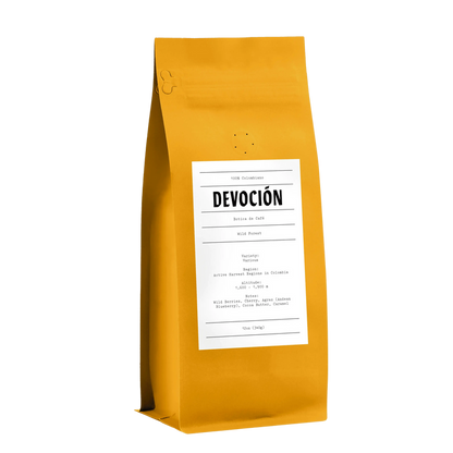 WILD FOREST | Devoción